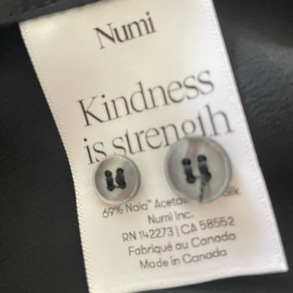 NUMI | Silk Blouse - Picture 5 of 6